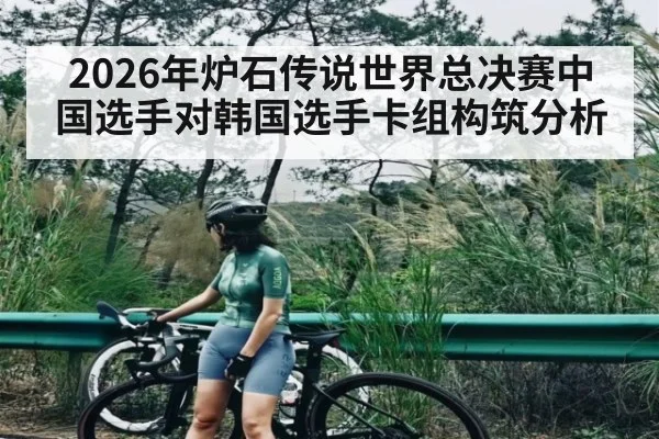 2026年炉石传说世界总决赛中国选手对韩国选手卡组构筑分析